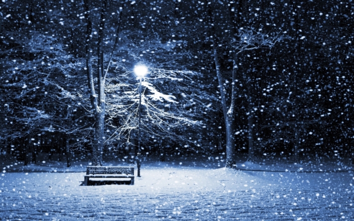 winter-snow-tree-blizzard