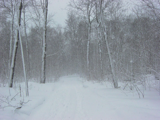 winter-snowstorm