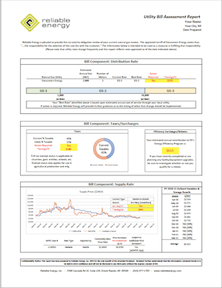 Example Report